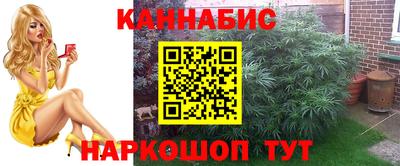наркотики Заводоуковск