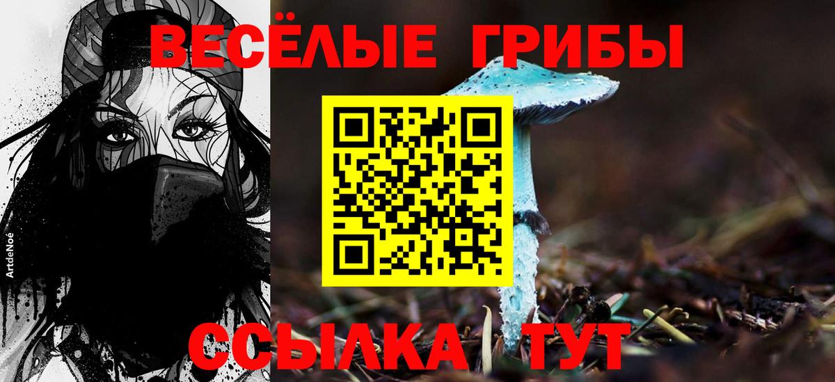 Щёлково  Галлюциногенные грибы Cubensis  Вход с VPN  Псилоцибиновые грибы MAGIC MUSHROOMS 